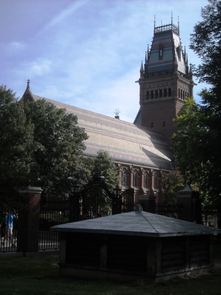 College Is a Country Club. AI Just Took Away the Educational Pretense.